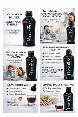 HerbFuse Ashwagandha Liquid Shots β Stress Relief Supplement for Calm Mood & Energy Support β Adaptogen Formula with Rhodiola, Reishi & Ginseng β Fast Absorption β 30 Servings β Saba Prime One HerbFuseΒ buy supplements Au