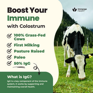 Immerge Health Super Colostrum Powder (60 Servings) β Premium Bovine Colostrum Supplement for Gut Health, Bloating & Immune Support β High IgG, 100% Grass Fed