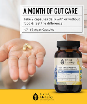 Your Flora Probiotic Family – Non-GMO Probiotics with Fermented Soybean, Banana, & Blueberry for Digestion & Gut Support – Prebiotics, Postbiotics, Digestive Enzymes – Living Alchemy, 60 Capsules Living Alchemy buy supplements Au