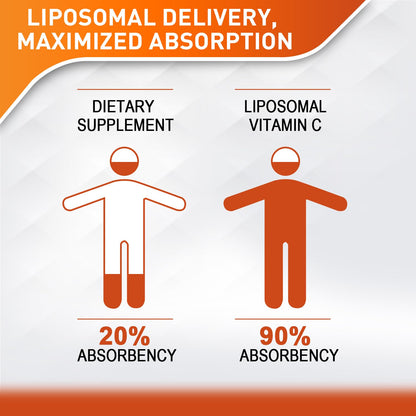 Vitablosom Liposomal Vitamin C 2000mg Liquid for Adults, High Absorption VIT C, Maximize Vitamin C, Immune System & Antioxidant Support, 60ML (2 Bottle)