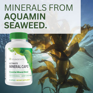 Youngevity Ultimate Mineral Caps™ - 70+ Essential Full Spectrum Trace Minerals - Nutrient-Dense, Derived from Humic & Aquamin Seaweed (64 Capsule) YoungevityBuy Supplements Australia