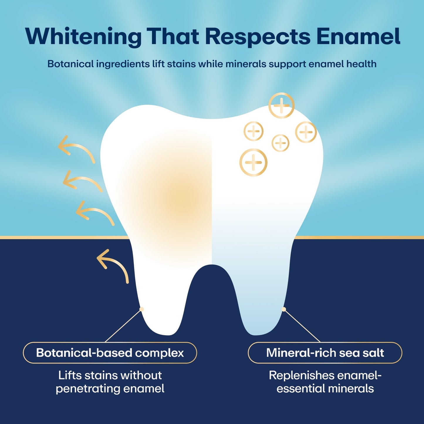 Lumineux Teeth Whitening Strips Kit - 9 Treatments (1 Month) - Peroxide Free - Enamel Safe for Whiter Teeth - Whitening Without The Sensitivity