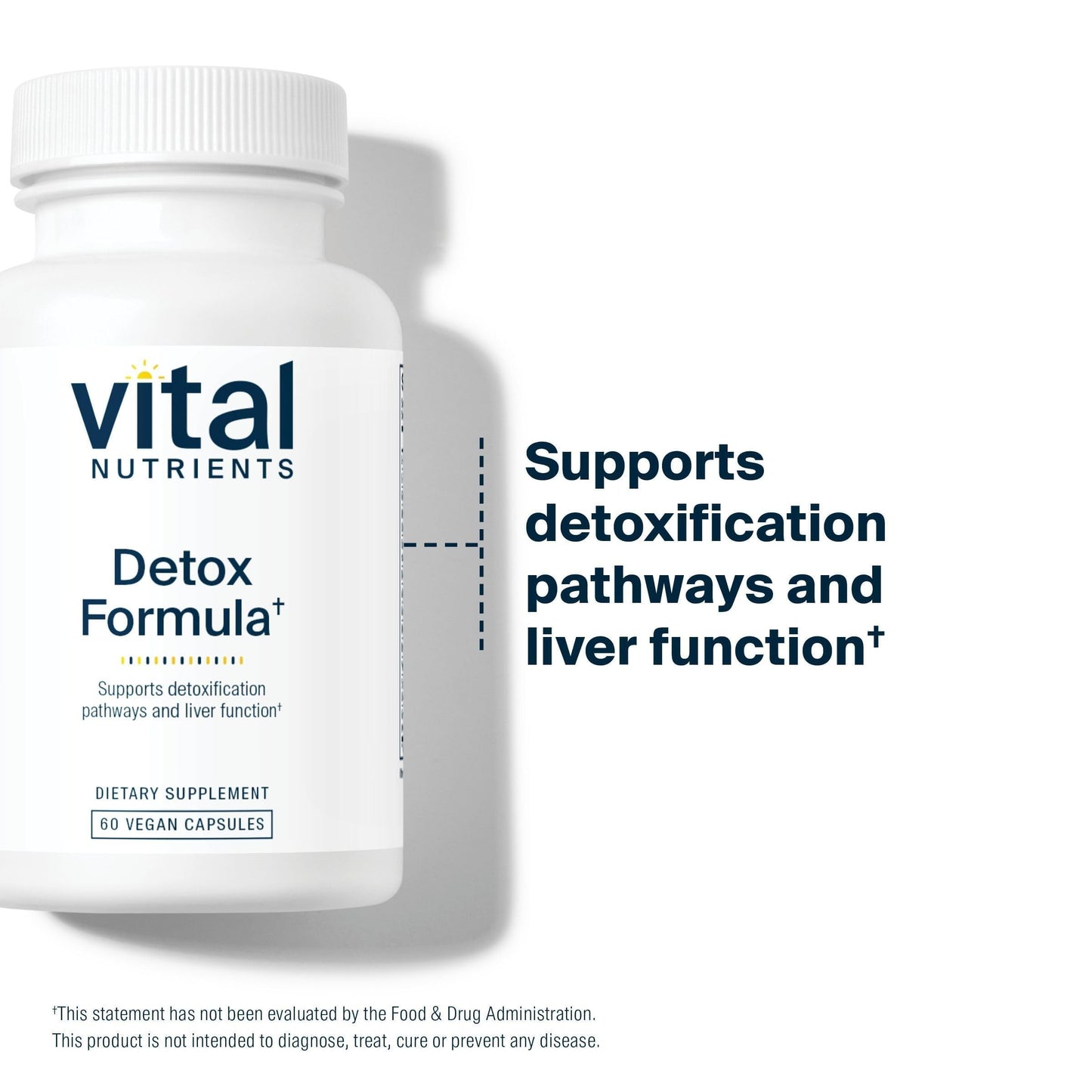 Vital Nutrients Detox Formula - Vegan Liver Detox - Antioxidant Supplement Promotes Liver & Detoxification Support - Gluten, Dairy, Soy Free - Non-GMO - 60 Capsules
