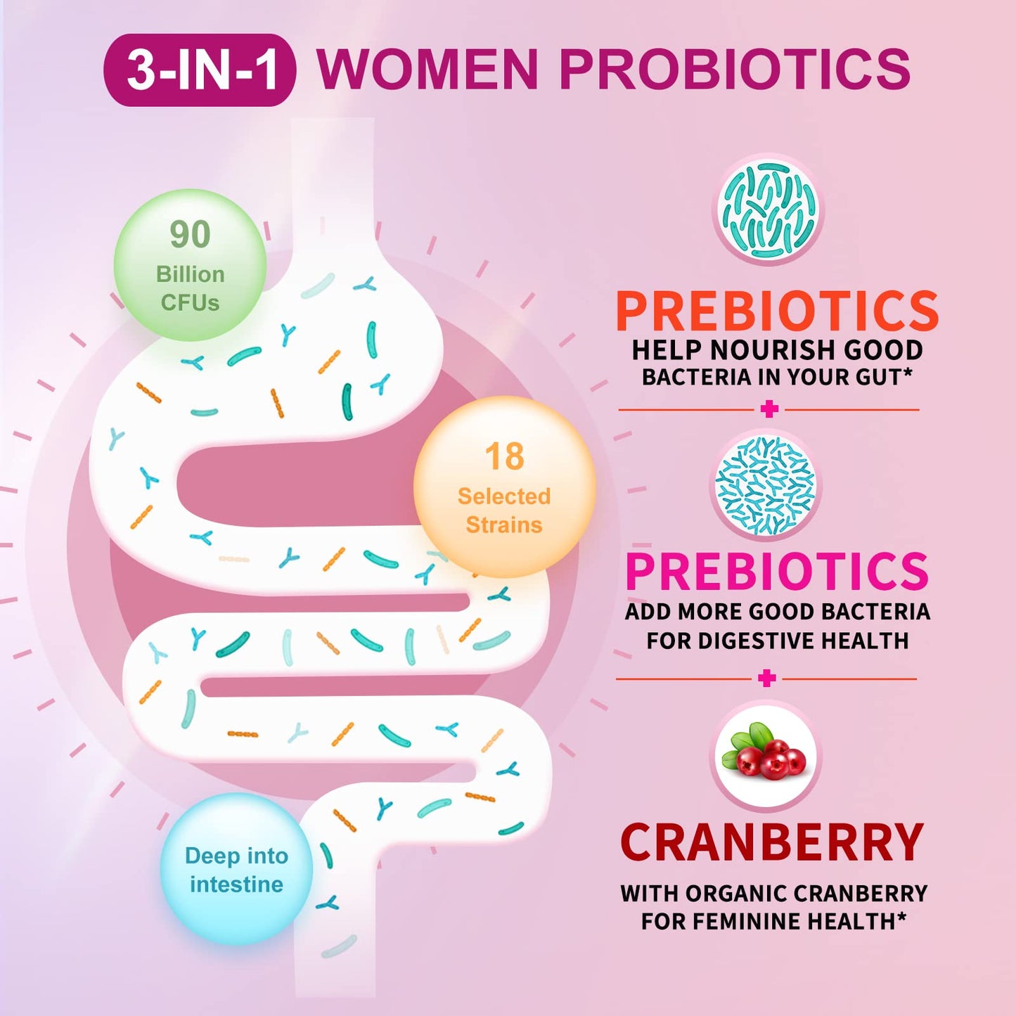 OMOGS 2PCS Women's Probiotic, with Cranberry Extract, Organic Prebiotics & Vitamin C, 90 Billion CFUs,18 Strains, Help for Boost Immune, Digestive, Gut Health & Women's Health,180 Tablets