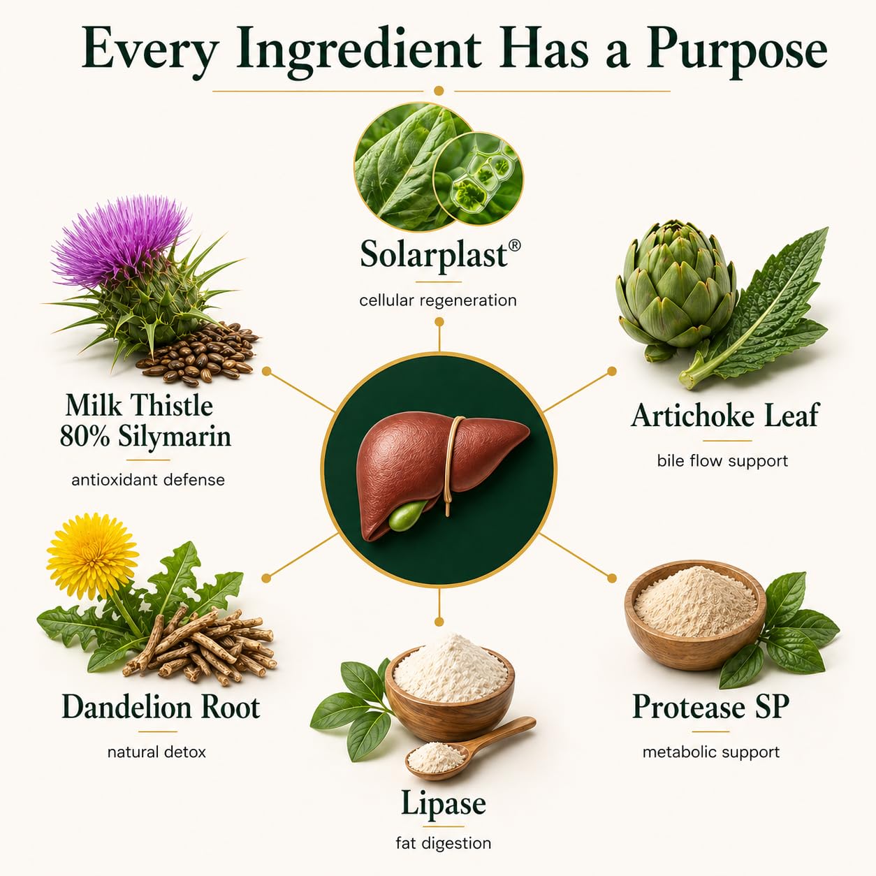 VESALIX Liver Support | 6-in-1 Liver & Digestive Support Formula | Solarplast®, Milk Thistle, Artichoke & Dandelion | Third-Party Tested