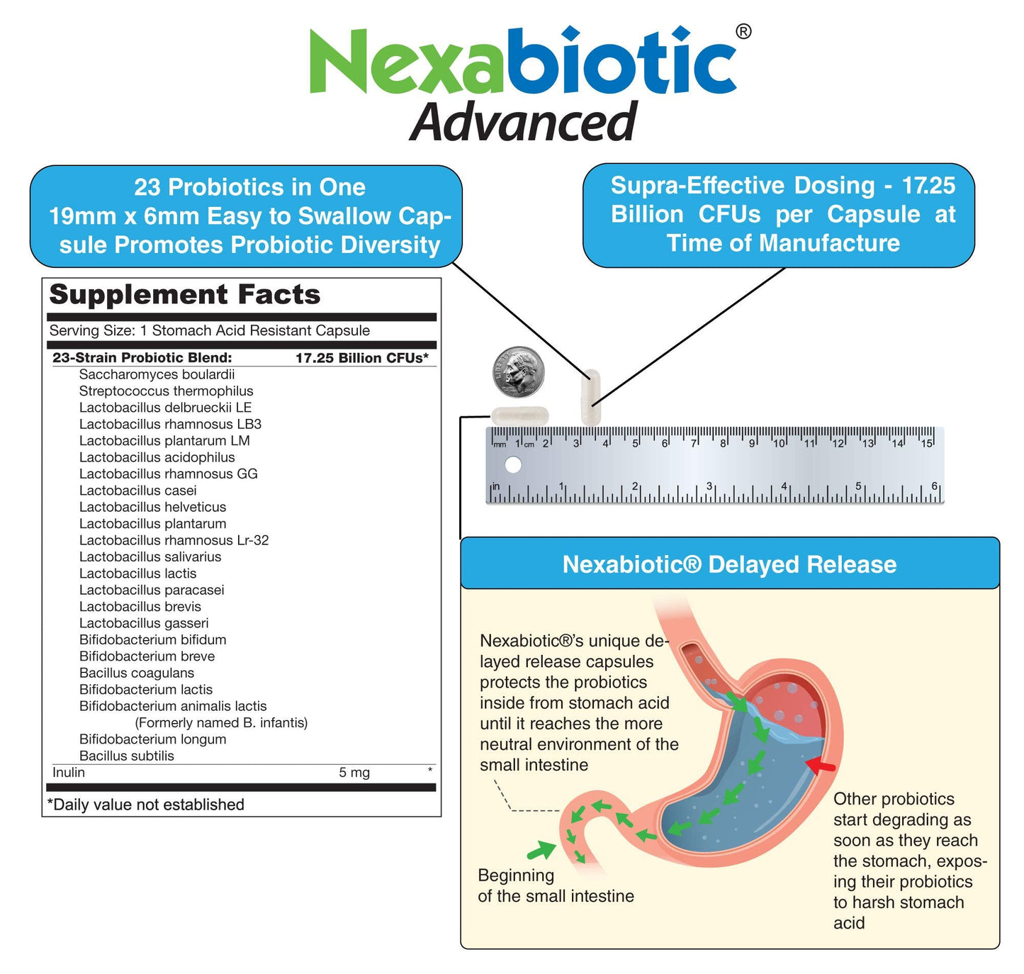 DrFormulas' Best Probiotics for Women & Men | Nexabiotic Multi Probiotic with Saccharomyces Boulardii, Lactobacillus Acidophilus, B. infantis, Prebiotic 60 Count Capsules (Not Pearls)