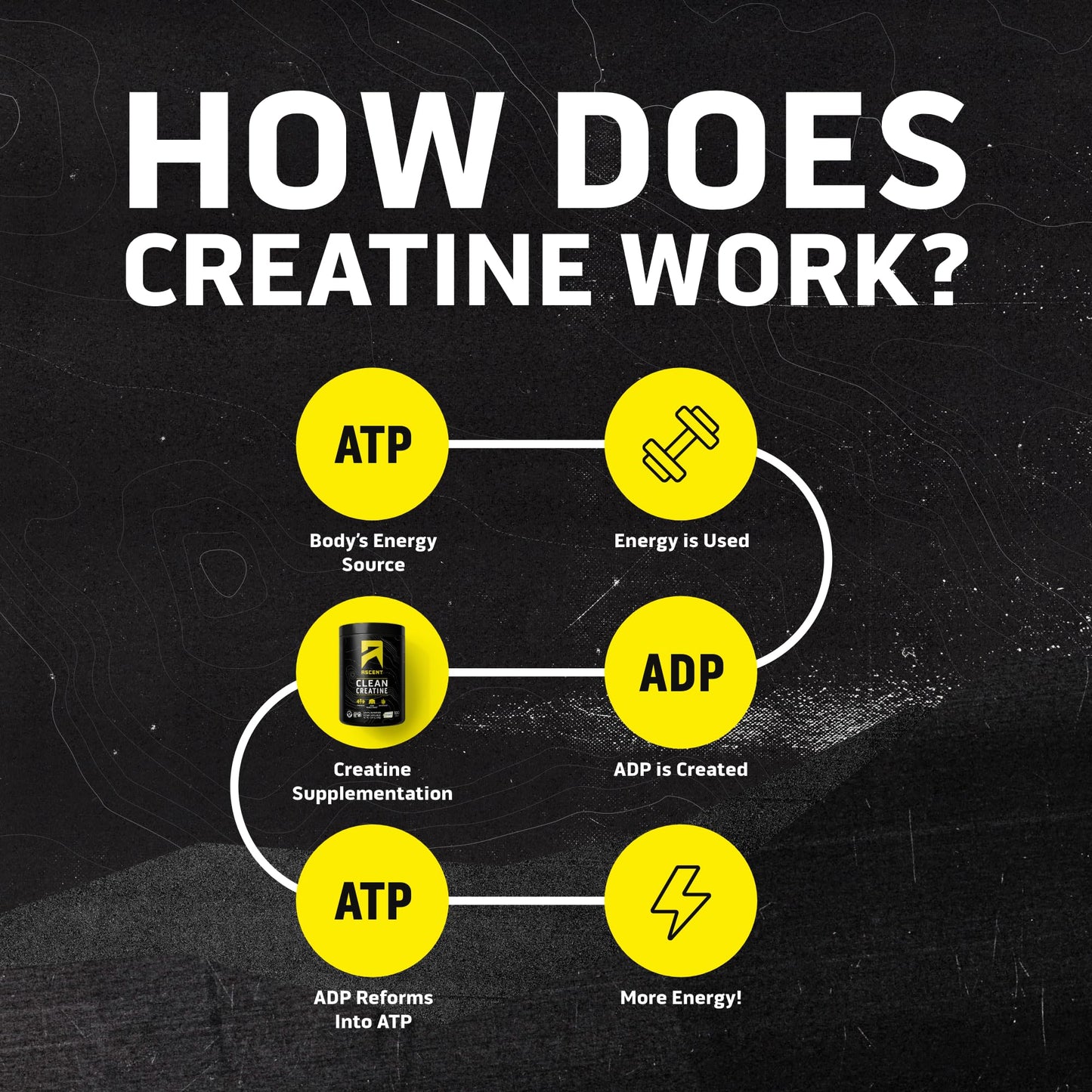 Ascent Clean Creatine Monohydrate Powder - 5G Per Serving, Creapure Creatine Supplement - Unflavored, 100 Servings
