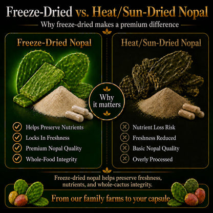 Natural Home Cures Premium Freeze-Dried Nopal Cactus Capsules, Mountain-Grown in Mexico, Whole Prickly Pear Cactus Powder Supplement, No Fillers