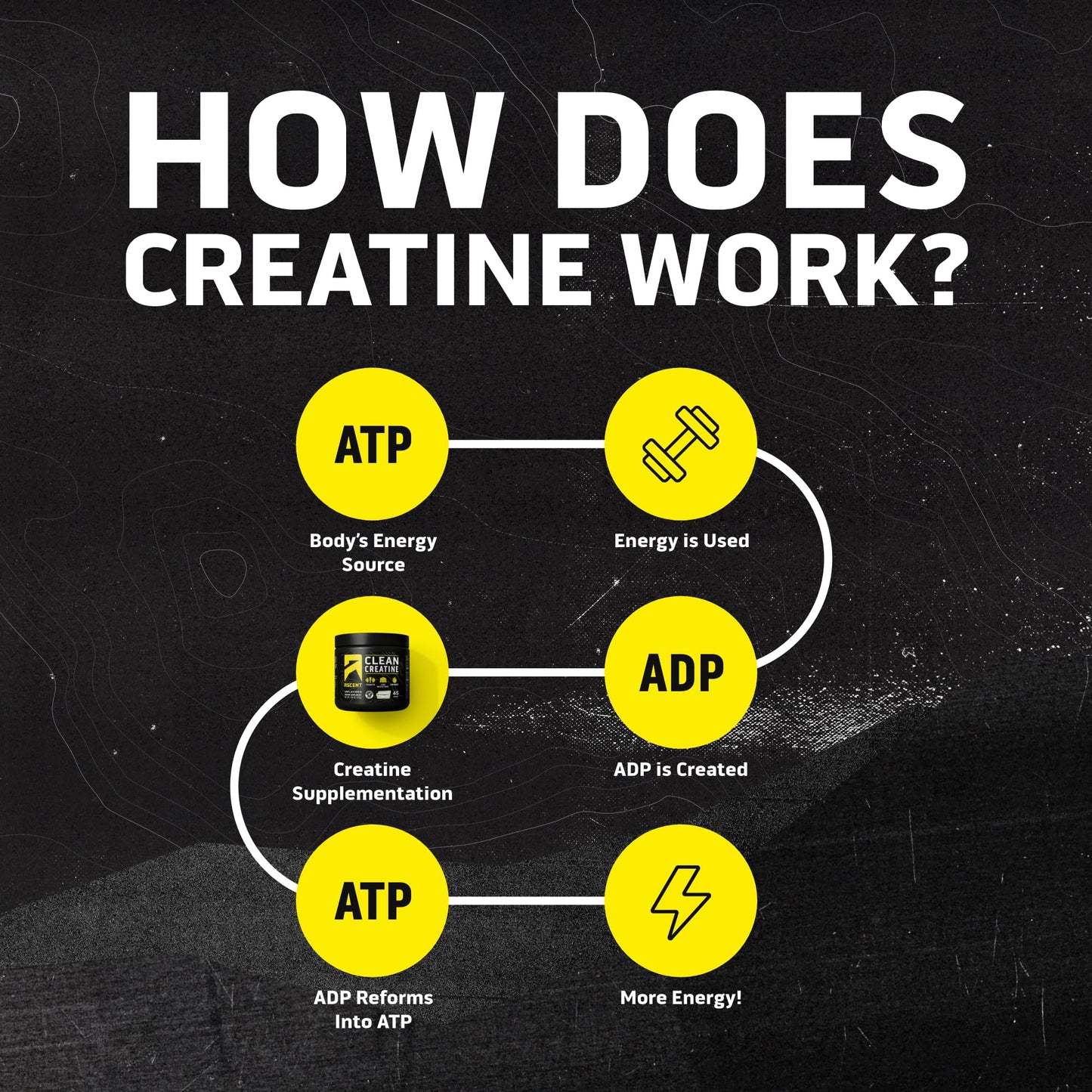 Ascent Clean Creatine Monohydrate Powder - 5G Per Serving, Creapure Supplement - Unflavored, 45 Servings
