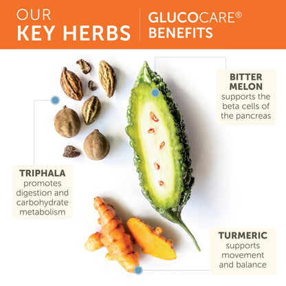 Himalaya GlucoCare – Herbal Glucose Metabolism & Pancreatic Support with Bitter Melon, Gymnema, Triphala & Turmeric – Natural Blood Sugar Support – Vegan, Non-GMO