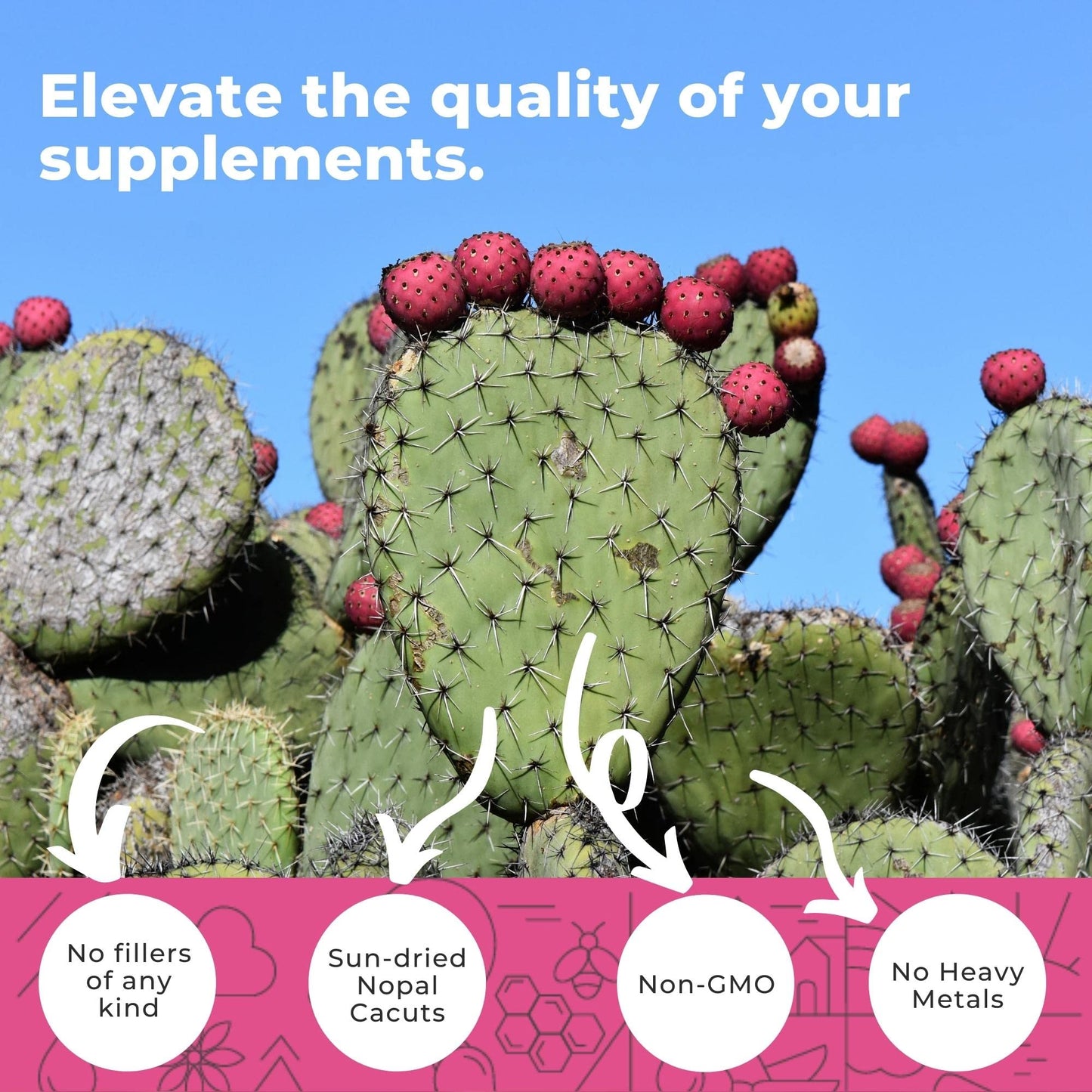 Nopal Cactus Capsules 1500mg- Organic Sun-Dried Prickly Pear Cactus Powder & Black Pepper Extract for Absorption- Natural Prickly Pear Super Supplement