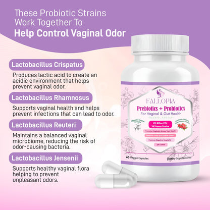 Vaginal Probiotics for Women with Prebiotics Cranberry D Mannose Digestive Enzymes & Hibiscus 34 Strains 100 Billion CFU Feminine Care Supplement for Gut Urinary Health and pH Balance Support