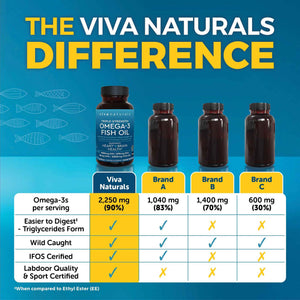 Viva Naturals Omega 3 Fish Oil Supplement for Women and Men - 2500 mg Triple Strength Fish Oil per Serving with Omega 3 Fatty Acids Including EPA, DHA DPA